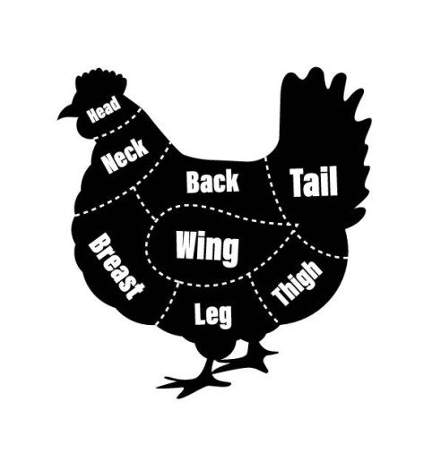 Chicken cuts diagram — head, neck, back, tail, wing, breast, thigh, leg