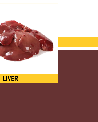 Liver